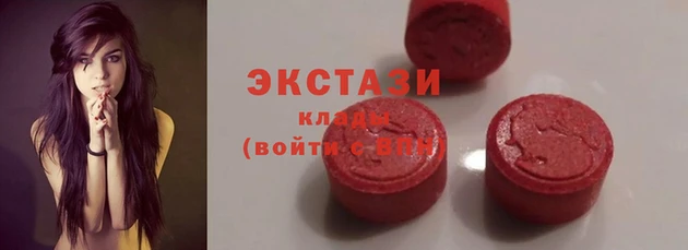 гидра Арсеньев