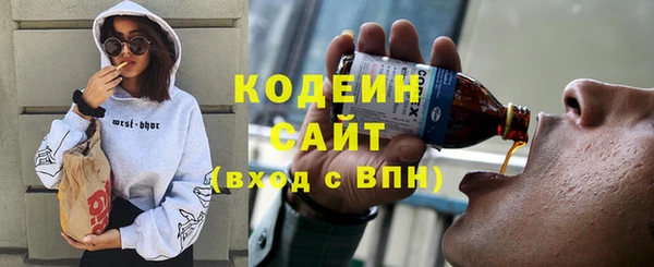 гидра Арсеньев