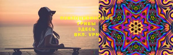 гидра Арсеньев